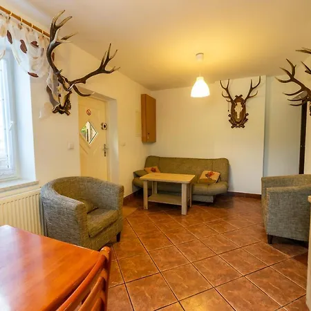 Проживание в семье Ata